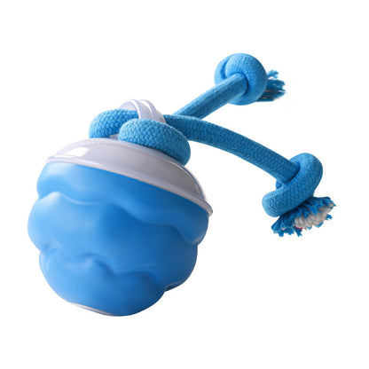 VELMURA™ Chase Buddy